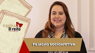 Explica Direito Filiação Socioafetiva  2019 [upl. by Gamages]