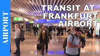 TRANSIT WALK AT FRANKFURT Airport FRA Terminal 1  Connection Flight Transfer Arriving amp Departing [upl. by Nimaynib559]